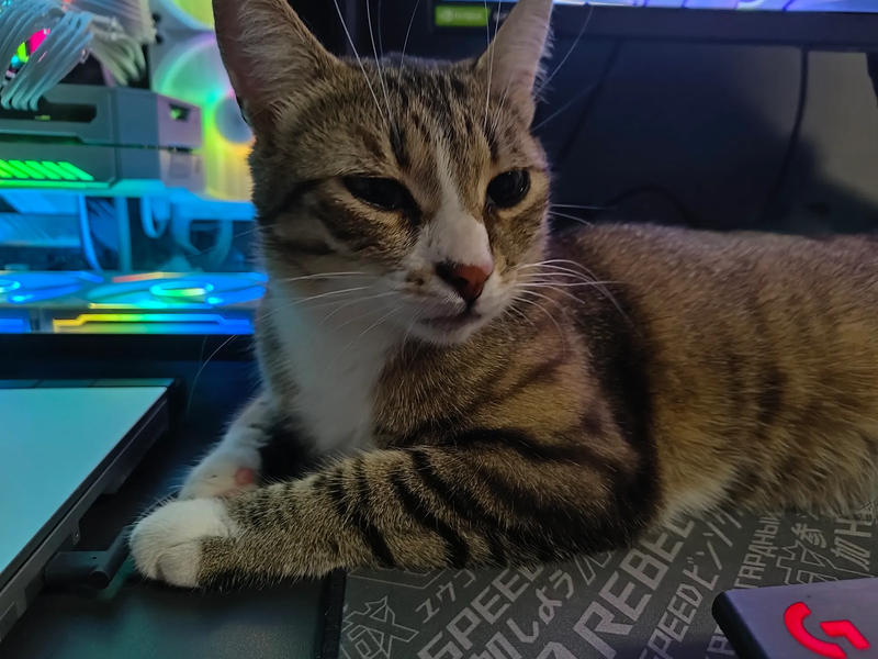 meet-mira-img2